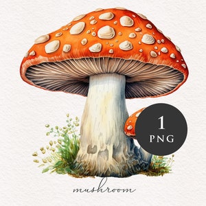Champignons clipart PNG aquarelle orange champignons forêt magique fantastique champignon vénéneux illustration graphiques transfert par sublimation PNGs conte de fées