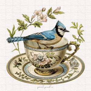 4 Uccello di Toile in una tazza da tè PNG Acquerello Uccello clipart Primavera Tazza di porcellana vintage Carta per sublimazione Kit per la creazione di diari spazzatura stampabile