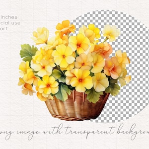 Op de afbeelding: Een aquarel van een boeket gele en oranje bloemen in een rieten mand. De bloemen zijn in een losse, natuurlijke stijl gerangschikt en de mand staat op een witte achtergrond.