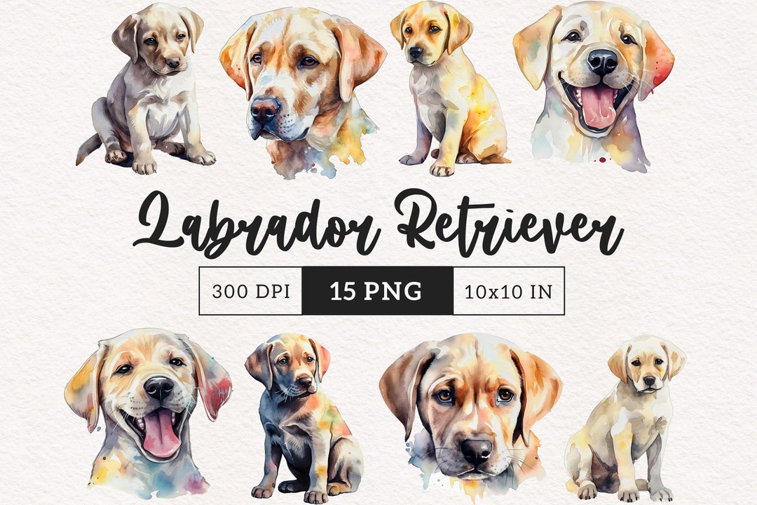 Dog Clipart PNG Watercolor Dog Clipart Puppy Pet PNG Labrador Retriever ...