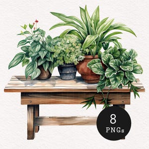 Clipart de decoración de plantas Acuarela Follaje botánico PNG Ilustración para amantes de los jardines Plantas en soporte Imágenes de planificador Álbum de recortes Jardinería Estética