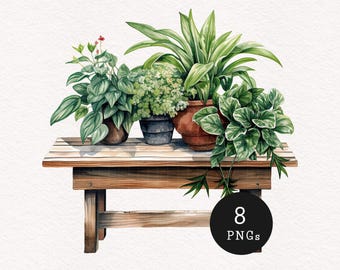 Plant Decor Clipart Watercolor Botanical Foliage PNG Garden lover illustration Plants on stand Planner images Scrapbook Gardening Aesthetic