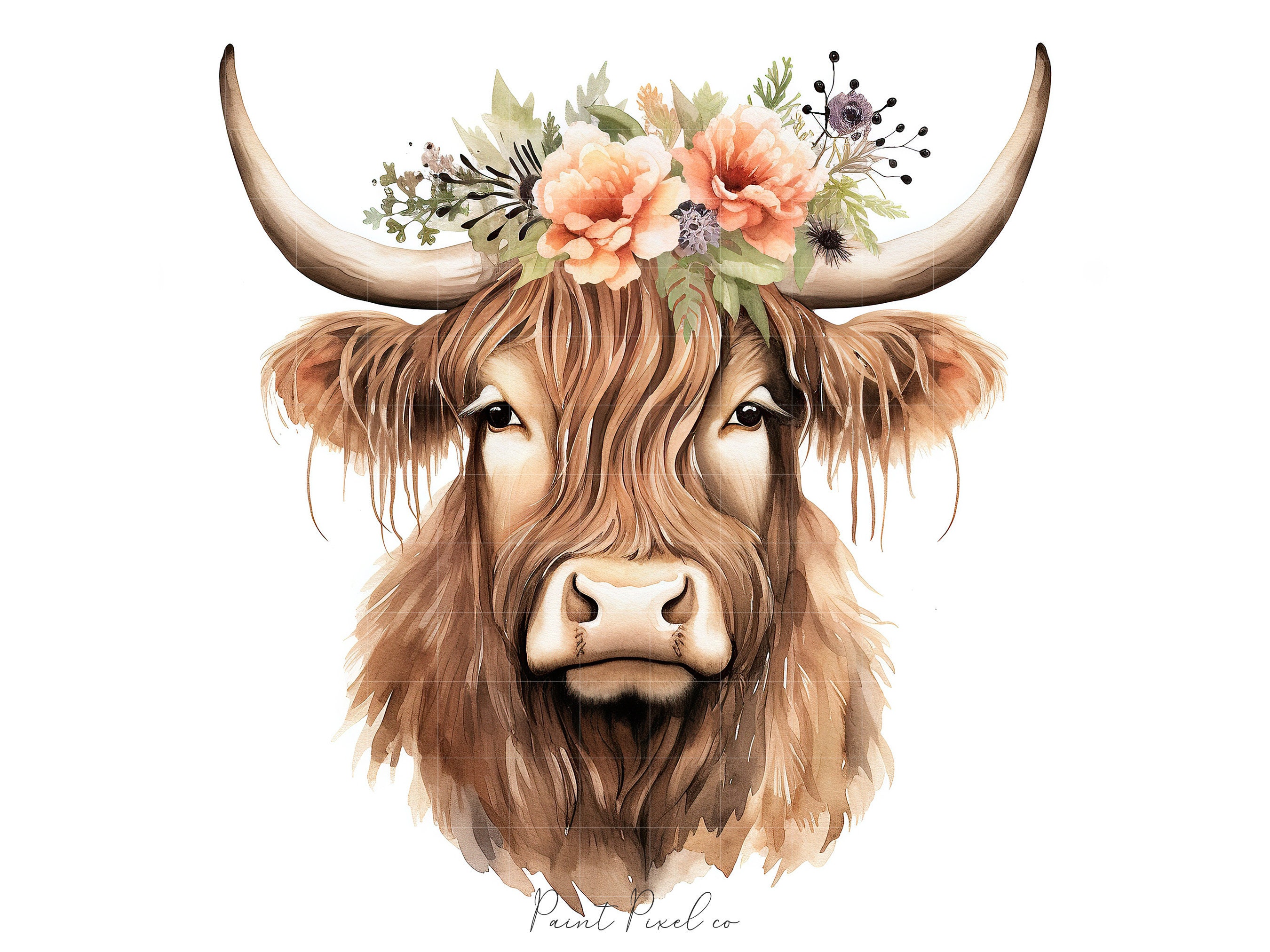 10 Highland Cow With Flowers Clipart High Quality Jpgs Floral Animal ...