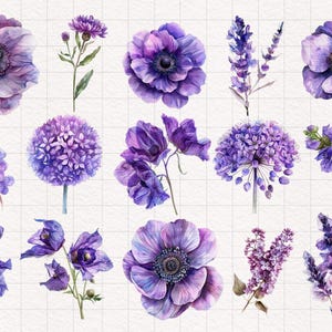 May include: Watercolor illustrations of purple flowers, including anemones, lavender, and lilac. The flowers are painted in a realistic style with delicate details.