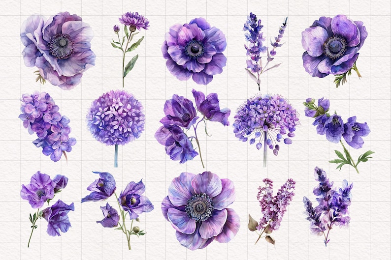 May include: Watercolor illustrations of purple flowers, including anemones, lavender, and lilac. The flowers are painted in a realistic style with delicate details.