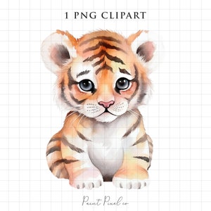 Baby Safari Animal clipart Baby Tiger PNG Watercolor Jungle Animals clipart Sublimation Tiger Nursery Art Animal sticker Free commercial use