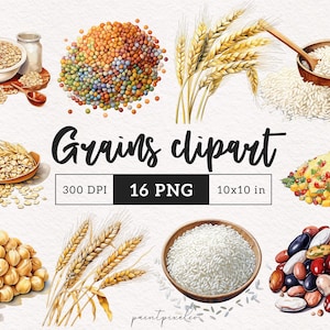 Granen clipart rustieke droge oogst png-afbeeldingen haver linzen rijst illustratie quinoa pulsen papier crafting plakboek afdrukbare muur kunst