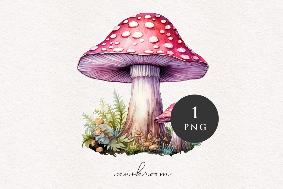 Mushroom Clipart PNG Watercolor Pink Mushrooms Magical Forest Fantasy ...
