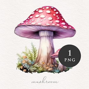 Champignon clipart PNG Aquarelle Champignons roses Forêt magique Fantasy Toadstool illustration graphiques Sublimation Transfert PNGs Conte de fées