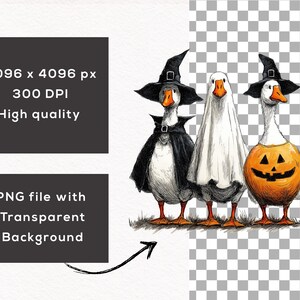 May include: Illustration of three geese dressed for Halloween. One goose wears a witch hat and cape, another is in a ghost costume, and the third is a jack-o'-lantern. The image is a PNG file with a transparent background.