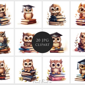 20 Eule Clipart Hohe Qualität JPGs Buch Clipart Buchliebhaber Eule Absolvent Sublimation Junk Journal Digitales Papier Handwerk Kommerzielle Lizenz