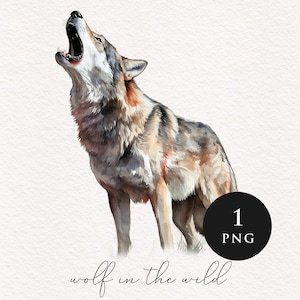 Wolf clipart PNG Bundle watercolor Sublimation transfer clip art majestic graphic illustrations wilderness woodland animals Wolf lover