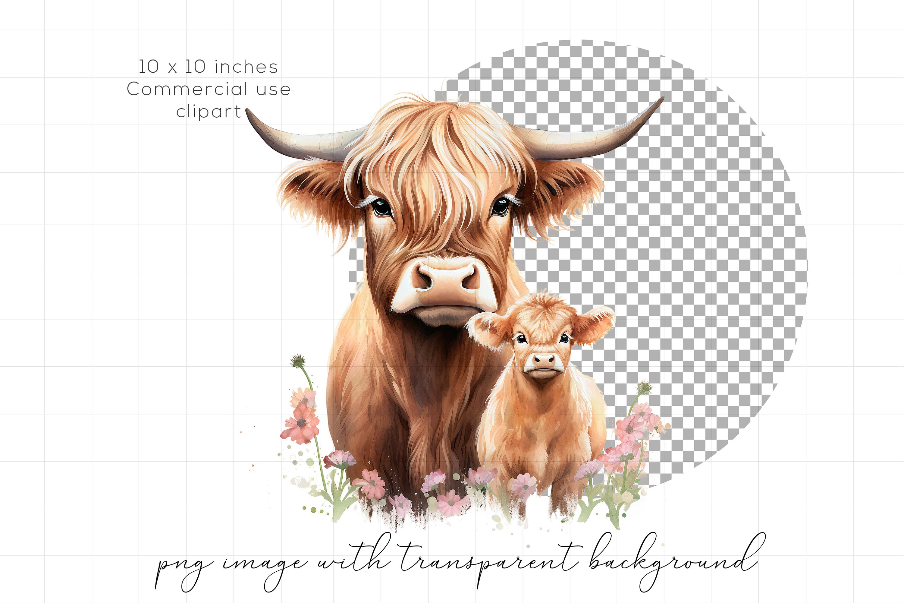 Highland Cow PNG Clipart Western Farm Animals Clip Art Baby Animal ...