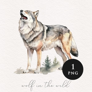 Wolf clipart PNG Bundle watercolor Sublimation transfer clip art majestic graphic illustrations wilderness woodland animals Wolf lover