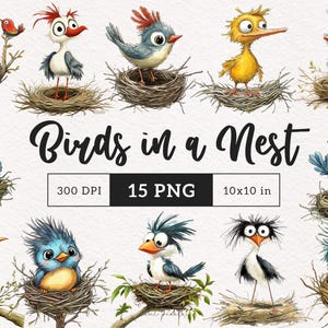 Oiseaux originaux dans un nid Clipart drôles d'oiseaux PNG Illustrations d'oiseaux Graphiques d'oiseaux comiques fantaisistes Oiseaux Pingouin Petits oiseaux mignons