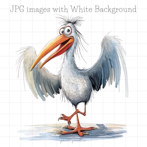 30 Quirky Pelican JPG Clipart Whimsical Birds clip art Divertente Pellicano Sciocco Uccello marino Illustrazione Card Making Mixed Media JPGs uso commerciale