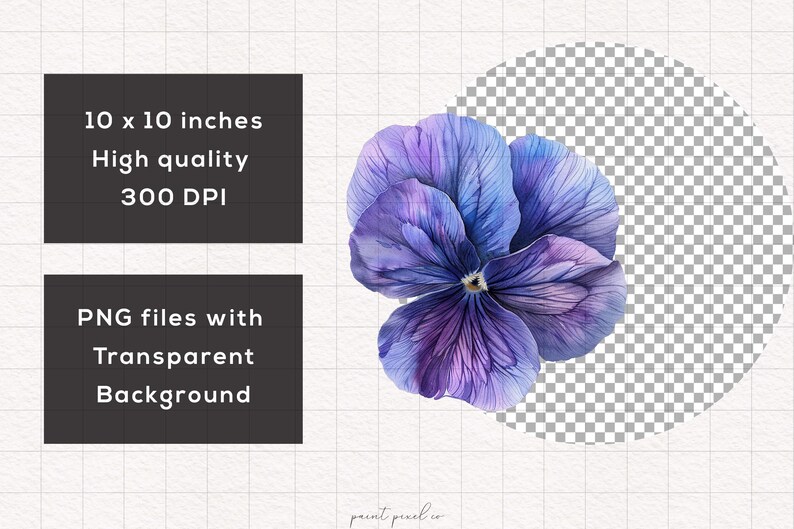 May include: A watercolor illustration of a single purple and blue pansy flower with a white center. The flower is isolated on a transparent background.