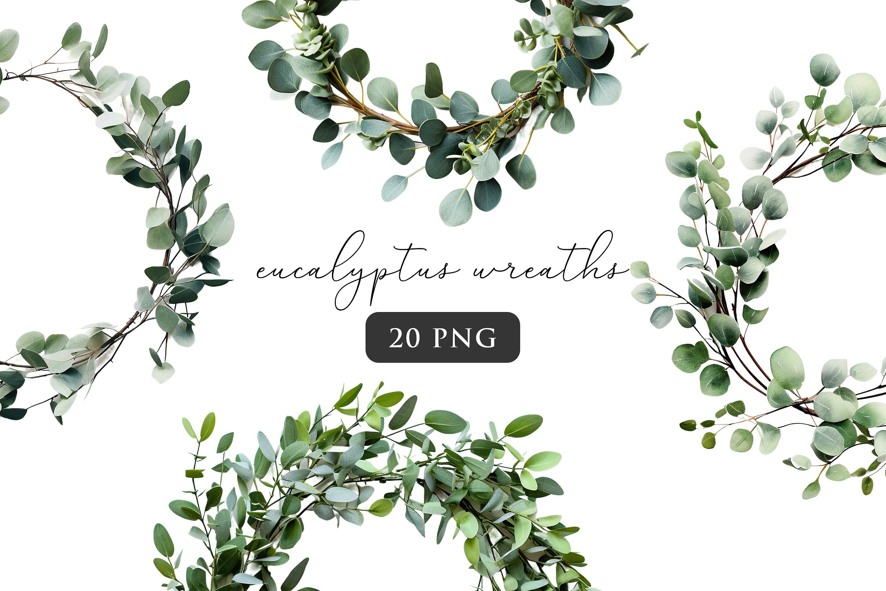 Eucalyptus Wreath Clipart PNG Bundle Realistic Wreaths Sublimation ...