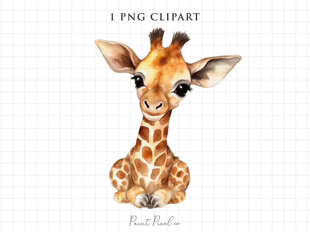 Baby Safari Animal Clipart Baby Giraffe PNG Watercolor Jungle Animals ...