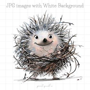 15 Quirky Hedgehog JPG Clipart Caprichoso Animais da Floresta Engraçados Hedgehog JPGs para impressão Papel Artesanato uso comercial Junk Journal Card making