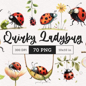 Clipart di coccinella stravagante Coccinella PNG Coccinella stravagante Clip art di sublimazione insetti carini Grafica stravagante Illustrazioni di creature divertenti