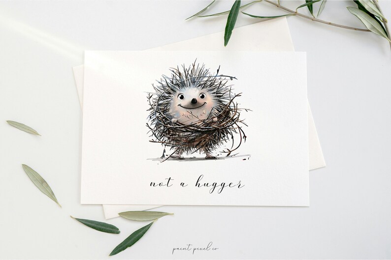 May include: A watercolor illustration of a hedgehog with a smiling face, surrounded by twigs and branches. The text "not a hugger" is written below the hedgehog.
