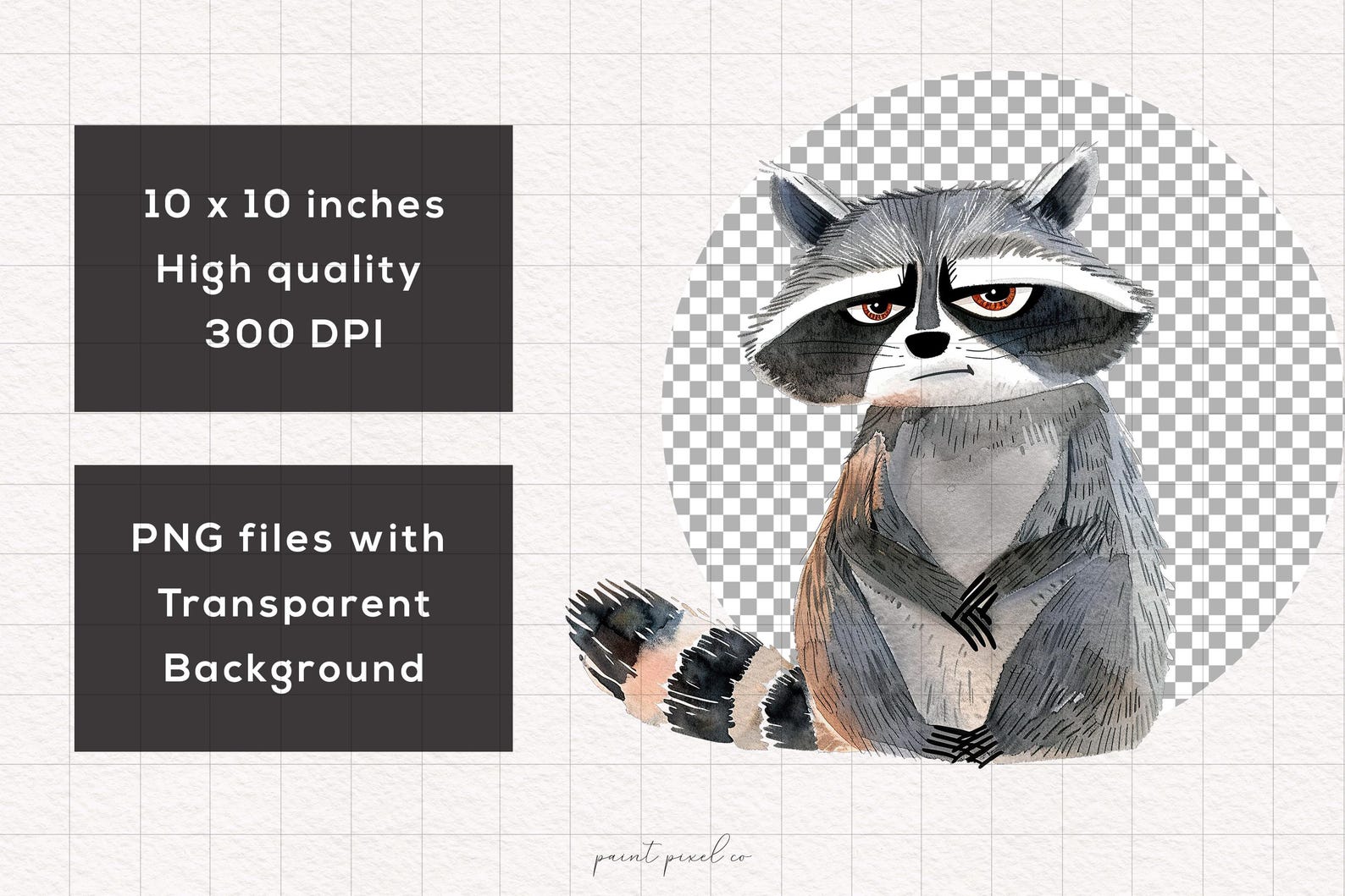 Grumpy Raccoon Clipart Whimsical PNG Angry Raccoon Woodland Sublimation ...