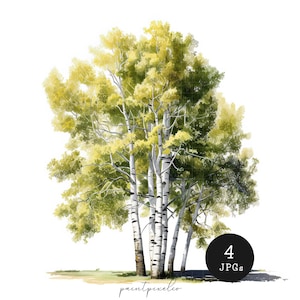 4 árvores de álamo JPG Clipart Aquarela Árvore Arte de parede para impressão Sublimação Criação de cartões Mídia mista Download digital Papel artesanato lixo diário