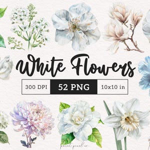 Weiße Blumen Clipart Aquarell Weiße Blumen PNG Botanische Elfenbein Blüten Minimalistische Grafiken Hochzeit Blumen Kartenherstellung Scrapbooking