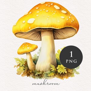 Clipart champignon PNG aquarelle champignons jaunes forêt magique fantastique champignon vénéneux illustration graphiques transfert par sublimation PNGs conte de fées