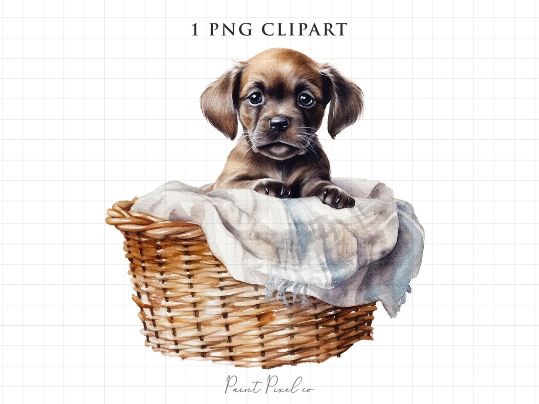 Watercolor Dog Clipart PNG Puppy Realistic Dog Cute Clipart Sublimation ...