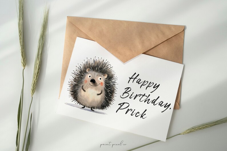 May include: A white card with a cartoon hedgehog illustration and the text "Happy Birthday, Prick".