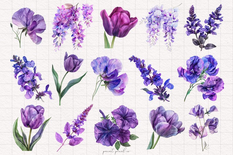 May include: A collection of watercolor illustrations of purple flowers, including tulips, wisteria, sweet peas, and lavender. The flowers are painted in a realistic style with delicate details.
