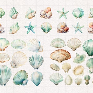 May include: A collection of watercolor painted seashells in various shapes, sizes, and colors. The shells are arranged in rows on a white background with a grid pattern.