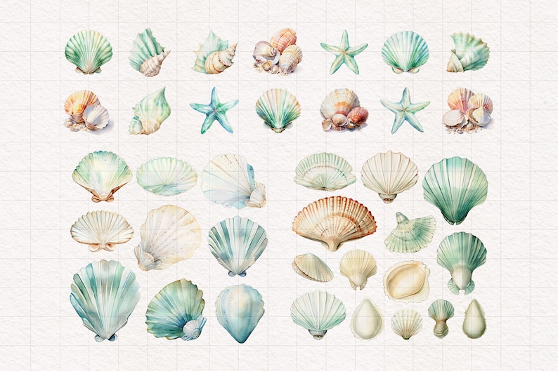 May include: A collection of watercolor painted seashells in various shapes, sizes, and colors. The shells are arranged in rows on a white background with a grid pattern.
