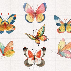 7 papillons mignons PNG aquarelle cliparts insectes fantaisistes sublimation illustration graphique drôle de papillon arc-en-ciel bohème