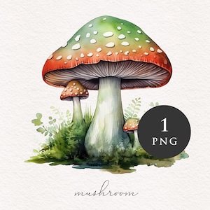 Clipart champignon PNG aquarelle champignons verts forêt magique fantastique champignon vénéneux illustration graphiques transfert par sublimation PNGs conte de fées