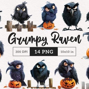 Grumpy Raven Clipart Raven on pumpkin PNG Whimsical Black Birds Sublimation clip art animals Spooky Ravens Whimsy Crow cartoon illustration