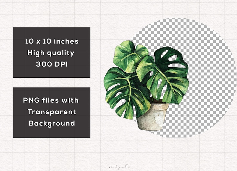 May include: Watercolor illustration of a potted monstera plant with large, green leaves. The plant is in a white pot and has a shadow underneath. The image is on a white background with a grid pattern.