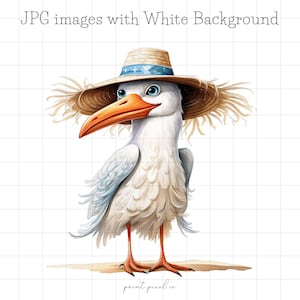 30 schrullig Möwe JPG Clipart Wunderliche Vögel Clip Art Lustige Möwe Dumme Seevogelillustration Karte, die Mixed Media JPGs für kommerzielle Nutzung macht
