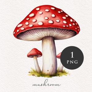 Clipart di funghi PNG Acquerello Funghi rossi Foresta magica Fantasia Toadstool Illustrazione Grafica Sublimazione Trasferimento PNG Fiaba
