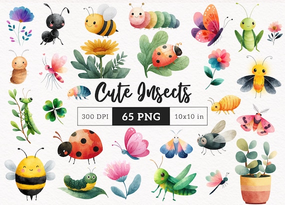 Cute Insects Clipart Little Love Bugs PNG Garden creatures Spring Baby Shower Birthday PNG Caterpillar Bee ladybug Fly card making graphics