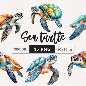 Tortuga marina PNG clipart acuarela lindos animales náuticos ilustración Clip art vida oceánica gráficos PNGs Sublimación Transferencia Papel artesanías