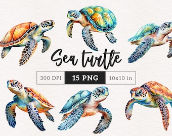 Sea Turtle PNG clipart watercolor cute nautical animals illustration Clip art ocean life graphics PNGs Sublimation Transfer Paper crafts