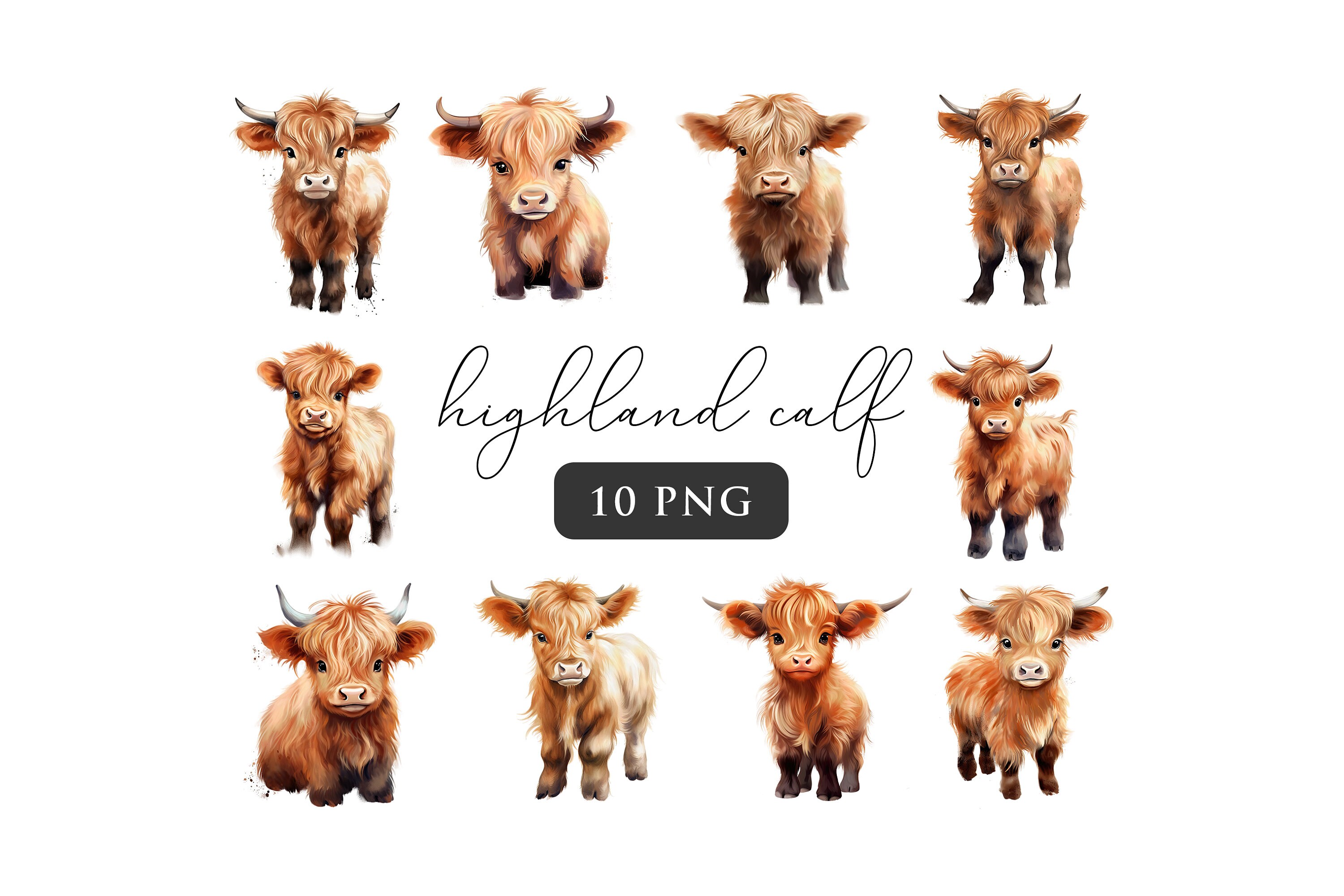 Highland Baby Cow PNG Clipart Western Farm Animals Clip Art - Etsy