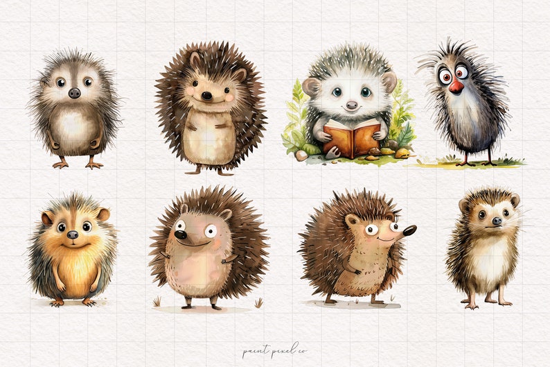 May include: Eight watercolor illustrations of hedgehogs with different expressions and poses. Some hedgehogs are brown, some are gray, and one is a light brown color. One hedgehog is reading a book. The illustrations are on a white background with a grid pattern.