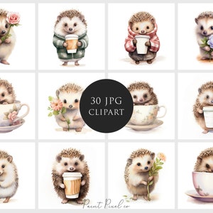 Hérisson clipart Haute qualité JPGs Aquarelle Floral Hérisson dans une tasse de thé clip art Sublimation Junk Journal Paper crafting Licence commerciale