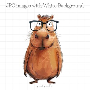 40 cliparts capybara JPG originaux sublimation fantaisiste clipart illustration drôle de forêt tropicale mignon carte faisant usage commercial de techniques mixtes JPG