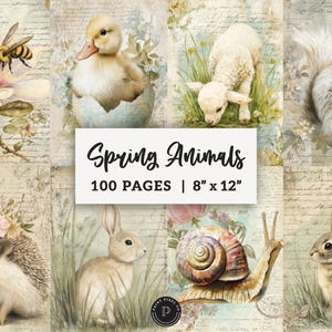 Puede incluir: Un collage con ilustraciones en acuarela de animales de primavera, incluyendo una abeja, un patito, un cordero, una ardilla, un erizo, un conejo y un caracol. El texto "Spring Animals" se muestra sobre las dimensiones de 20 cm x 30 cm.