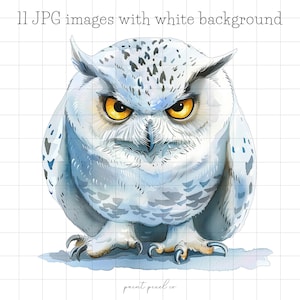 11 eigenzinnige sneeuwuil JPG Clipart grappige Silly Polar Birds JPG grillige poolvogel papegaaiduiker kaart maken Mixed Media ambachtelijke JPG's commercieel gebruik